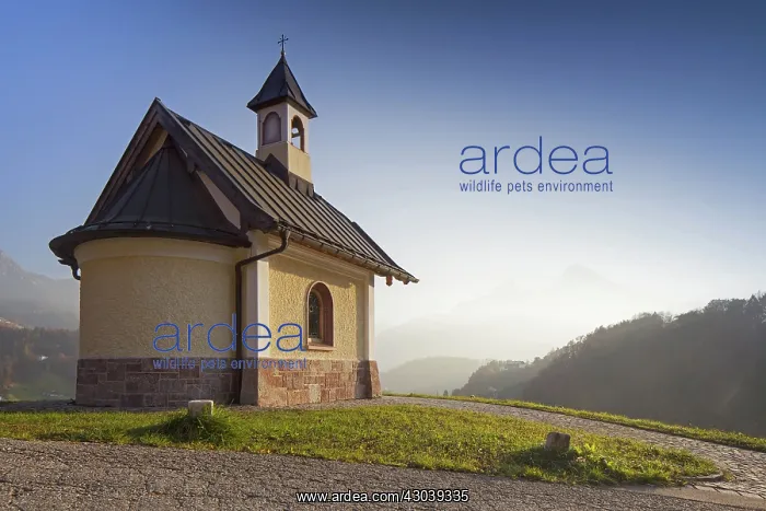 : Chapel at Lockstein : Chapel at Lockstein
