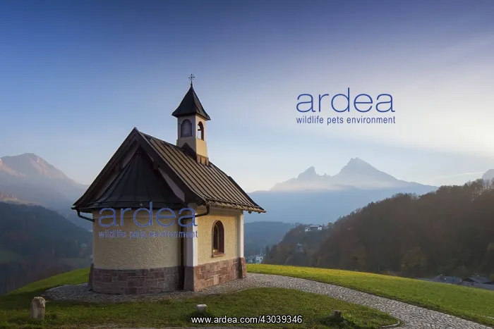: Chapel at Lockstein : Chapel at Lockstein