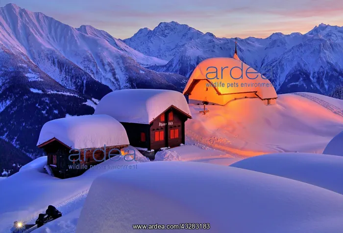 : Chapel Maria in the snow with deep snow in the village : Chapel Maria in the snow with deep snow in the village