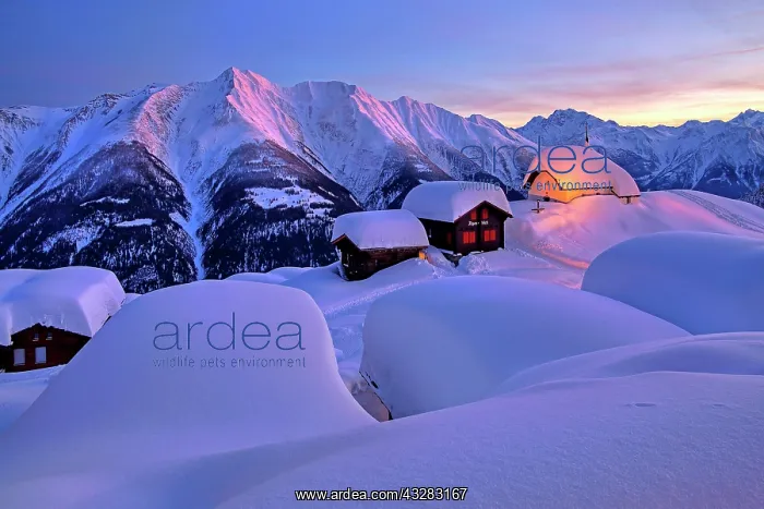 : Chapel Maria zum Schnee in the snow in the village : Chapel Maria zum Schnee in the snow in the village