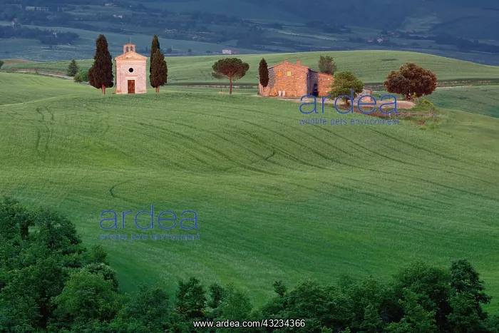 : Chapel San Quirico d'Orcia, Tuscany, Italy : Chapel San Quirico d'Orcia, Tuscany, Italy