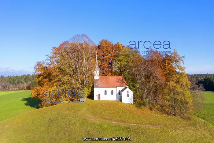 : Chapel St. Koloman in autumn, Weipertshausen near : Chapel St. Koloman in autumn, Weipertshausen near