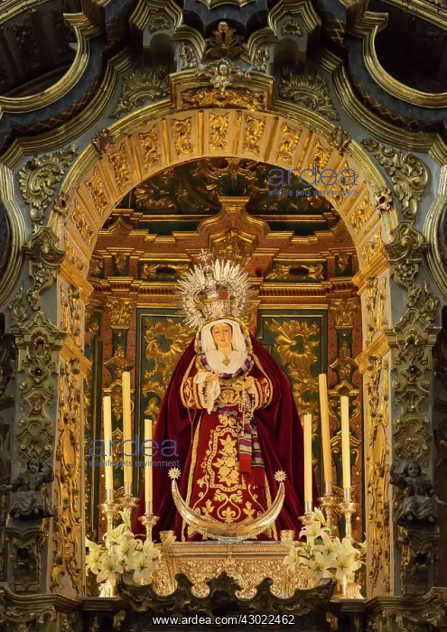 : The Chapel of the Virgen de la Soledad : The Chapel of the Virgen de la Soledad