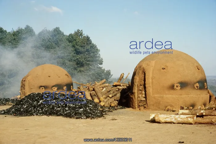 : CHARCOAL KILNS : CHARCOAL KILNS