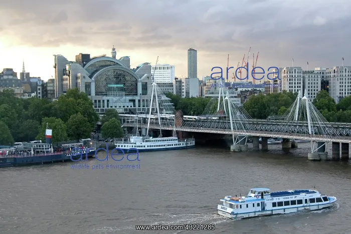 : Charing Cross railway station at the north : Charing Cross railway station at the north