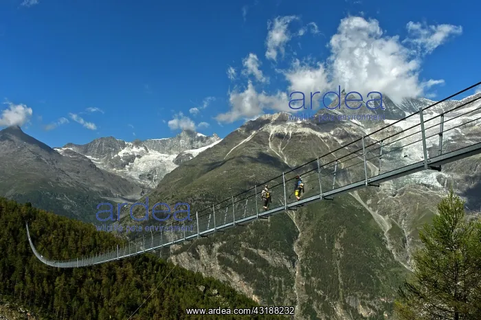  : Charles Kuonen suspension bridge, Randa, Valais