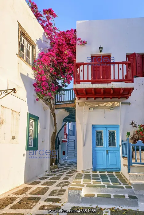 : Charming traditional narrow streets and beautiful : Charming traditional narrow streets and beautiful