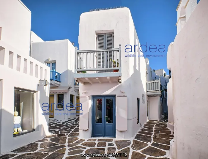 : Charming traditional narrow streets and beautiful : Charming traditional narrow streets and beautiful