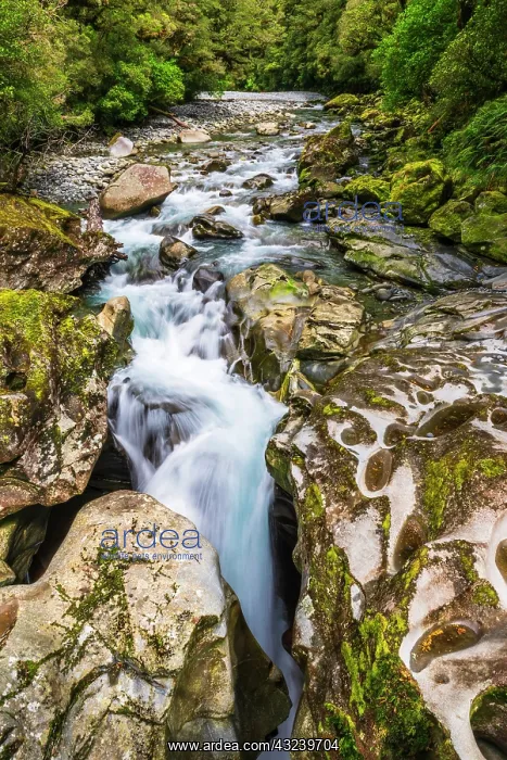 : The Chasm, Fiordland National Park, South Island : The Chasm, Fiordland National Park, South Island