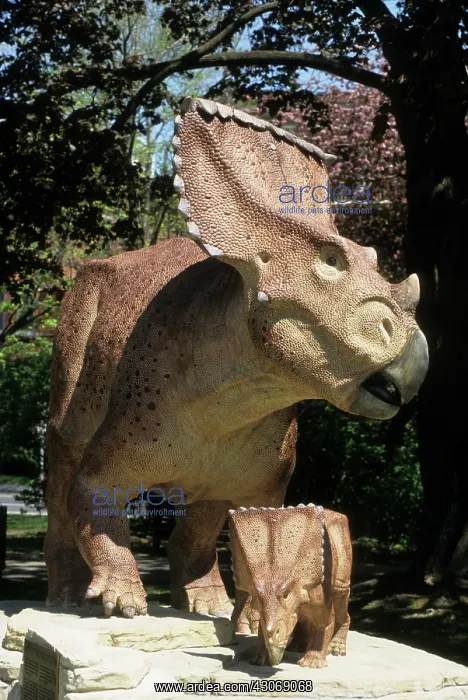 : Chasmosaurus and Baby : Chasmosaurus and Baby