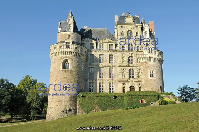 : Chateau Brissac Castle, Brissac-Quince, Angers : Chateau Brissac Castle, Brissac-Quince, Angers