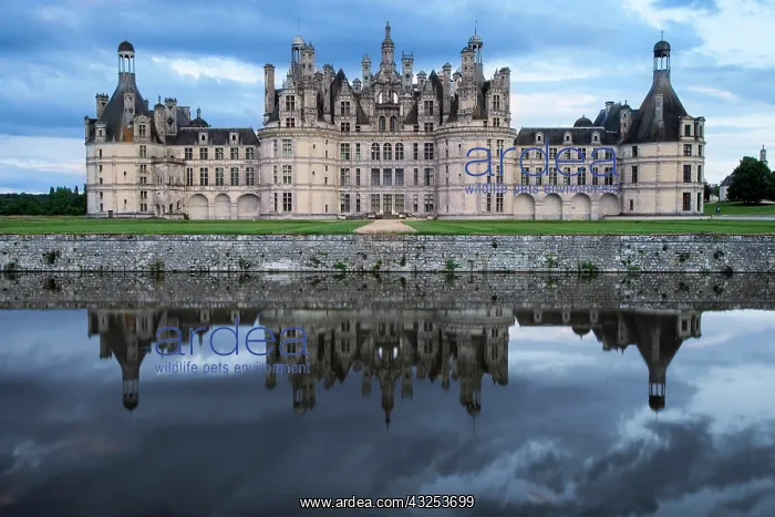 : Chateau Chambord, Loire Valley, Central : Chateau Chambord, Loire Valley, Central
