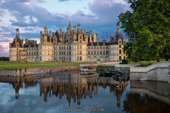: Chateau Chambord, Loire Valley, Central : Chateau Chambord, Loire Valley, Central