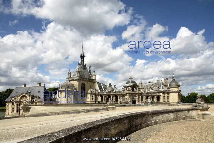 : Chateau de Chantilly. Chantilly. France : Chateau de Chantilly. Chantilly. France