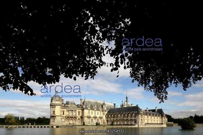 : Chateau de Chantilly. Chantilly. France : Chateau de Chantilly. Chantilly. France