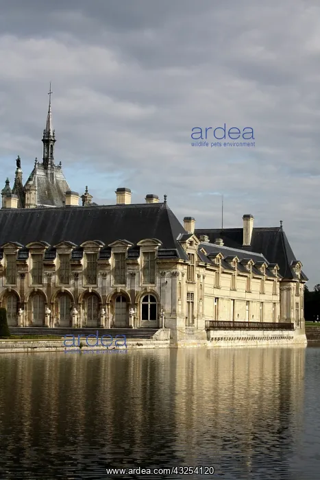 : Chateau de Chantilly. Chantilly. France : Chateau de Chantilly. Chantilly. France