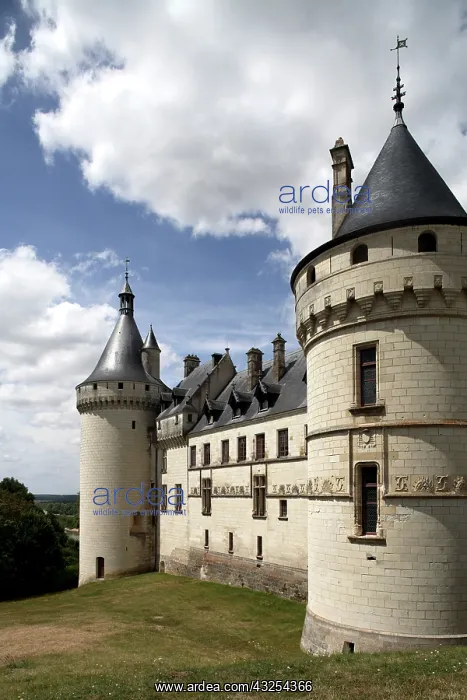 : Chateau de Chaumont-Sur-Loire. Chaumont-Sur-Loire : Chateau de Chaumont-Sur-Loire. Chaumont-Sur-Loire