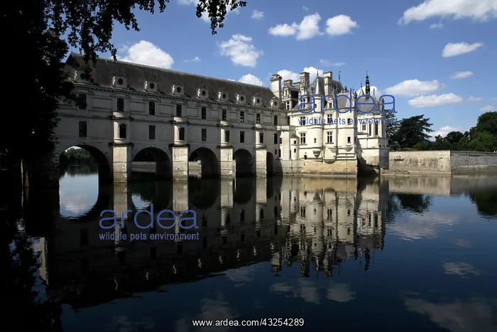 : Chateau Chenonceaux. Loire Valley. France : Chateau Chenonceaux. Loire Valley. France