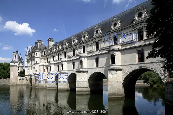 : Chateau Chenonceaux. Loire Valley. France : Chateau Chenonceaux. Loire Valley. France
