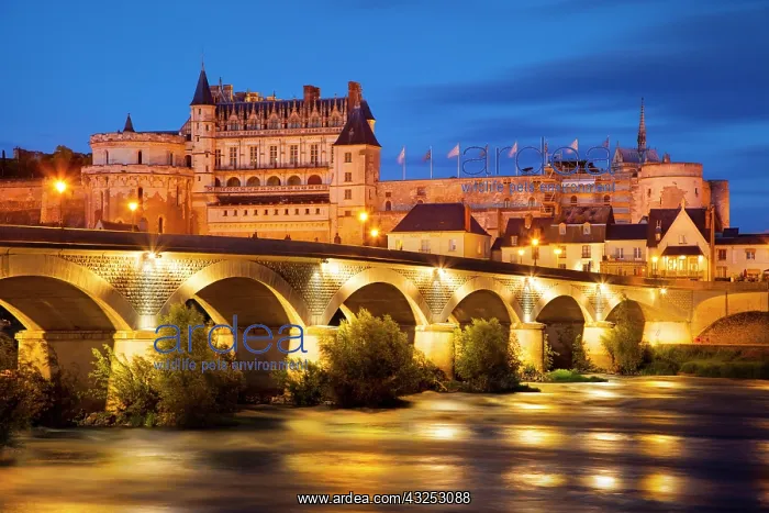 : Chateau d'Amboise above the River Loire : Chateau d'Amboise above the River Loire