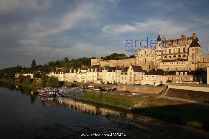 : Chateau d'Amboise with River Loire in foreground : Chateau d'Amboise with River Loire in foreground