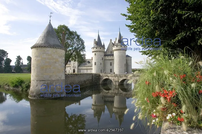 : Chateau of Sully-sur-Loire - towers of the classic : Chateau of Sully-sur-Loire - towers of the classic
