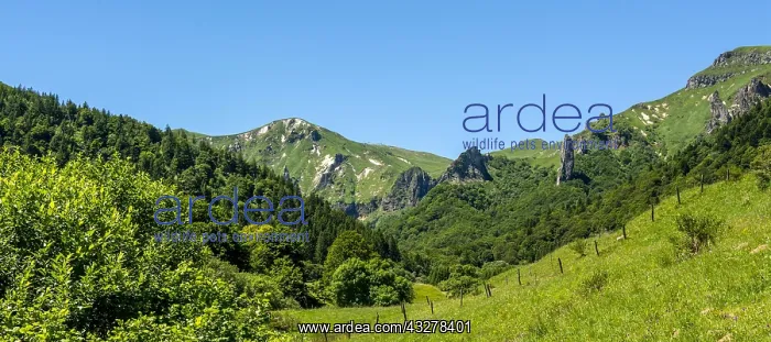 : Chaudefour Valley Natural Reserve, Sancy montain : Chaudefour Valley Natural Reserve, Sancy montain