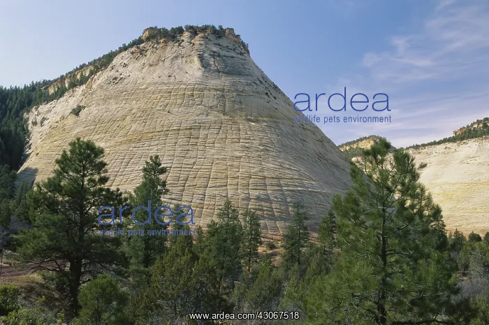 : Checkerboard Mesa, Utah : Checkerboard Mesa, Utah
