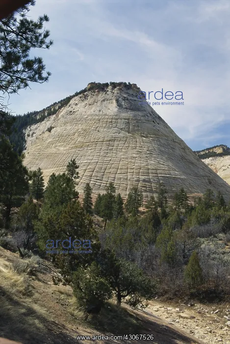 : Checkerboard Mesa, Utah : Checkerboard Mesa, Utah
