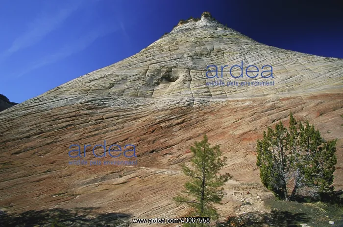 : Checkerboard Mesa, Utah : Checkerboard Mesa, Utah