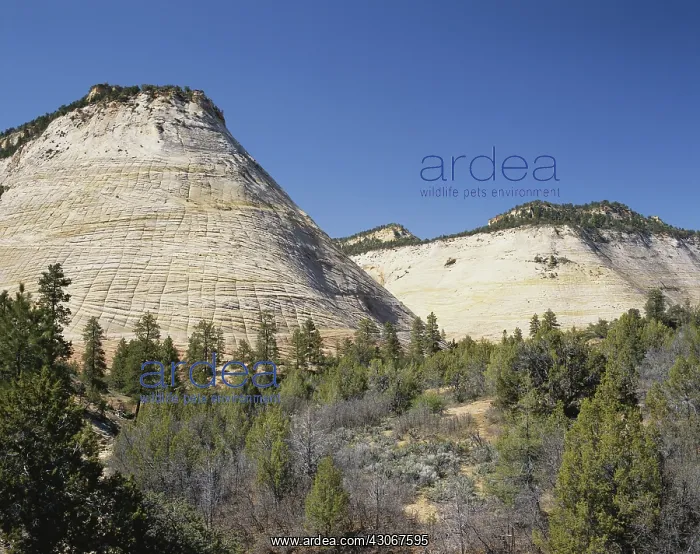 : Checkerboard Mesa, Utah : Checkerboard Mesa, Utah