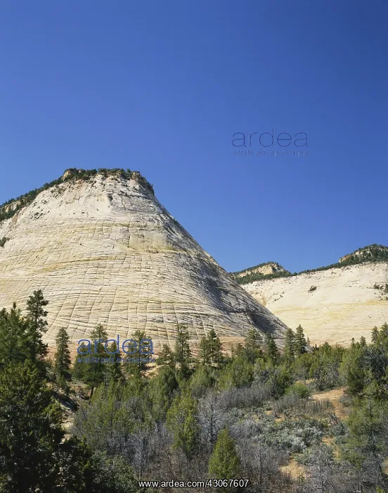 : Checkerboard Mesa, Utah : Checkerboard Mesa, Utah