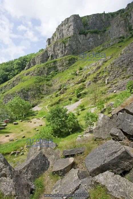 : Cheddar Gorge : Cheddar Gorge