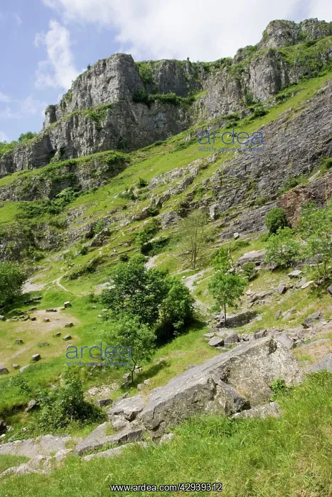 : Cheddar Gorge : Cheddar Gorge