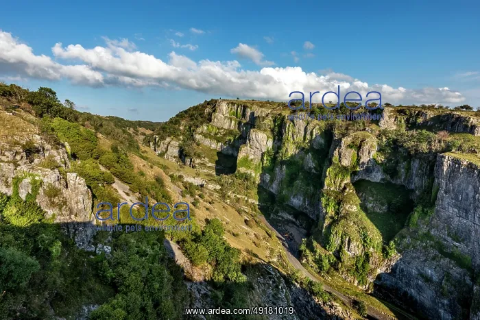  : Cheddar Gorge - From North Side - Somerset - UK