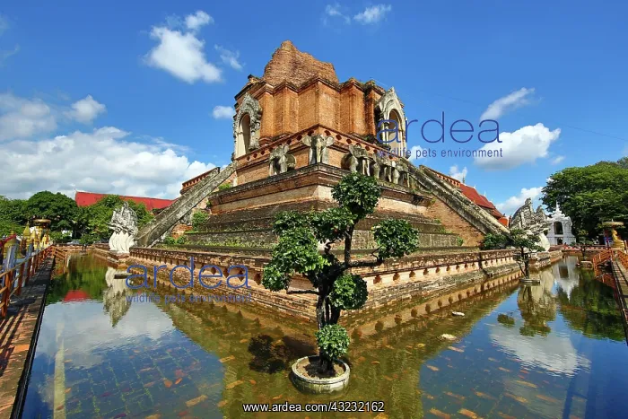 : Chedi at Wat Chedi Luang Temple in Chiang Mai, Thailand : Chedi at Wat Chedi Luang Temple in Chiang Mai, Thailand