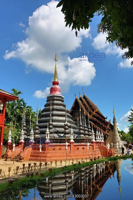 : Chedi at Wat Phan Tao Temple in Chiang Mai, Thailand Pa : Chedi at Wat Phan Tao Temple in Chiang Mai, Thailand Pa