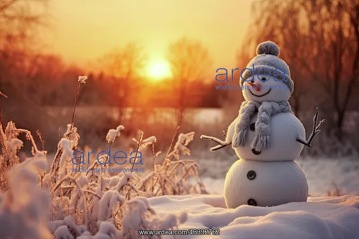 : A cheerful looking snowman stands in a forest, there : A cheerful looking snowman stands in a forest, there