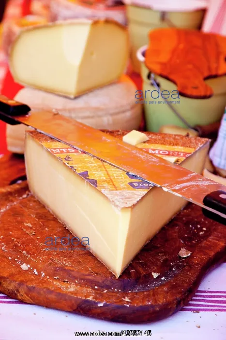 : Cheeses for sale at the market in Saint : Cheeses for sale at the market in Saint