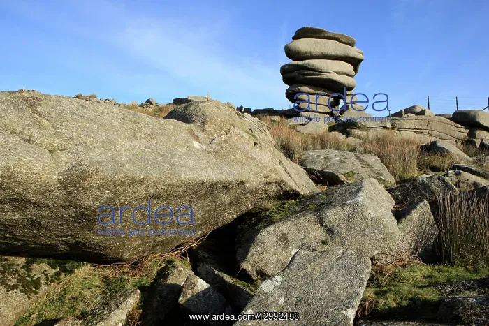 : Cheesewring Large Stones : Cheesewring Large Stones