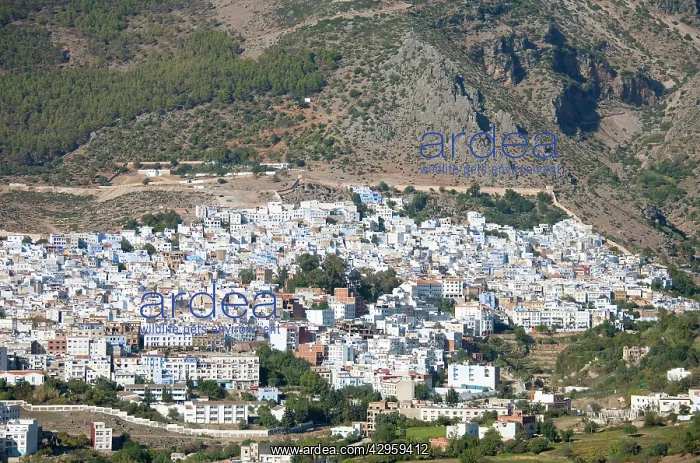 : Chefchaouen : Chefchaouen