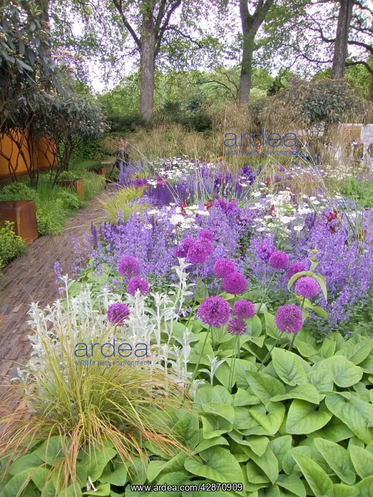 : Chelsea Flower Show 2006 : Chelsea Flower Show 2006