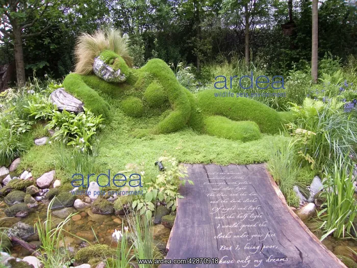  : Chelsea Flower Show 2006 - Dreaming girl in 4 Head