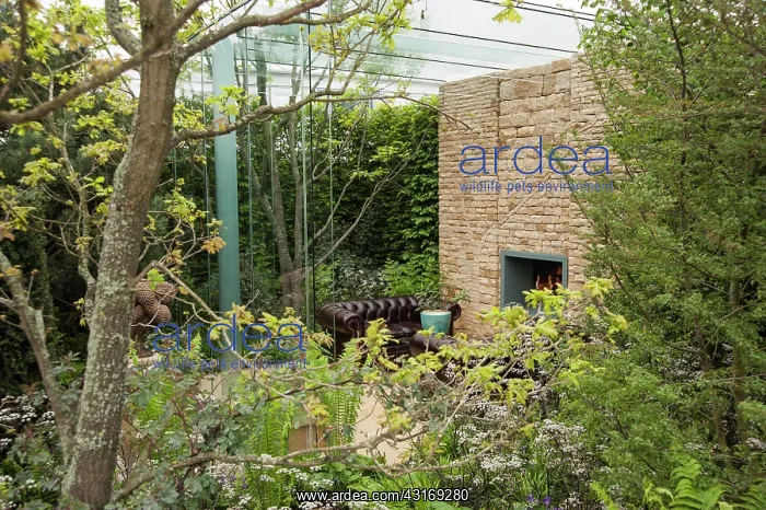 : Chelsea Flower Show 2013, Arthritis research UK : Chelsea Flower Show 2013, Arthritis research UK
