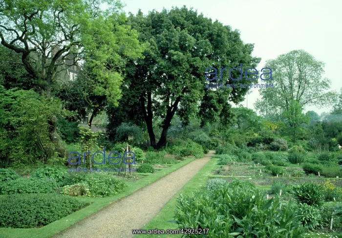  : Chelsea Physic Garden, UK