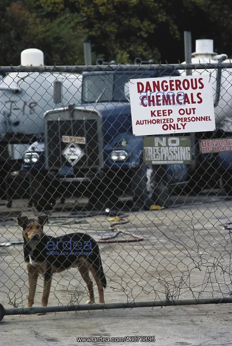  : Chemical Dump