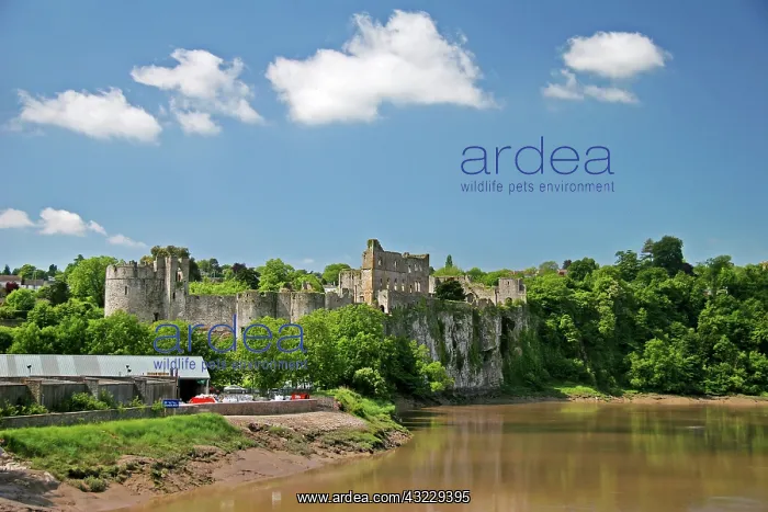 : Chepstow, Wales. Photographs from a bridge : Chepstow, Wales. Photographs from a bridge