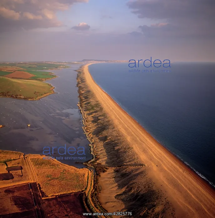 : Chesil Beach (Chesil Bank), 29 km long shingle : Chesil Beach (Chesil Bank), 29 km long shingle