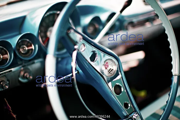 : Chevrolet Impala Sedan 1960, cockpit, vintage car, U : Chevrolet Impala Sedan 1960, cockpit, vintage car, U
