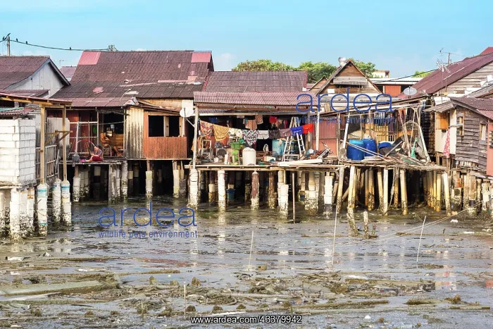 : The Chew Jetty is a stilt house settlement of Ch : The Chew Jetty is a stilt house settlement of Ch